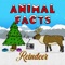 Reindeer - Animal Facts lyrics