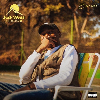 Just Vibes From the City - EP