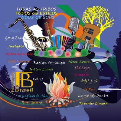 Festivais do Brasil Volume 15