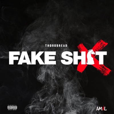 Fake Shit - Single