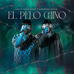 El Pelo Chino - Single