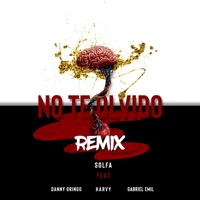 No Te Olvido (Remix) [feat. Harvy] - Single - Solfa, Danny Gringo & Gabriel Emil
