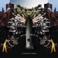 Technology Boy — Bachelorette