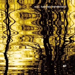 Esbjörn Svensson Trio - Dolores In a Shoestand