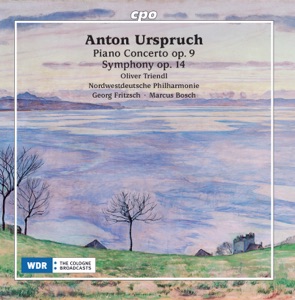 Piano Concerto in E-Flat Major, Op. 9: I. Allegro ma non troppo