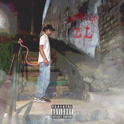 Made In Zl - Single