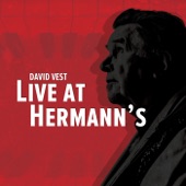 David Vest - Mystery Train (Live at Hermann’s)