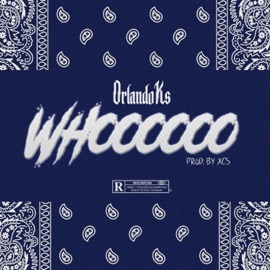Whooo Orlando KS
