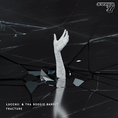 Fracture - Single
