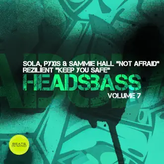 Not Afraid by Sola, pyxis & Sammie Hall song reviws