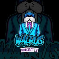Project 2 - Single - Walrus