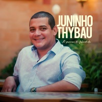 A Procura da Felicidade - Single - Juninho Thybau