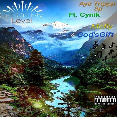 Get on My Level (feat. Cynik, God'sgift & Mcfly) - Single