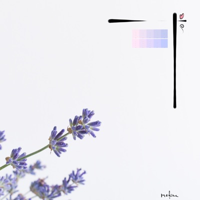 Lavender - Single