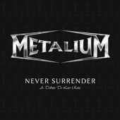 Never Surrender artwork