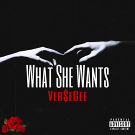 What She Wants Ver$eGee