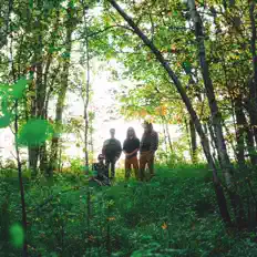 Vela Rosaを聴いたり、ミュージックビデオを鑑賞したり、経歴やツアー日程などを確認したりしましょう！