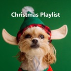 Christmas Time
