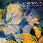 Adam Pacione - Evening Colours