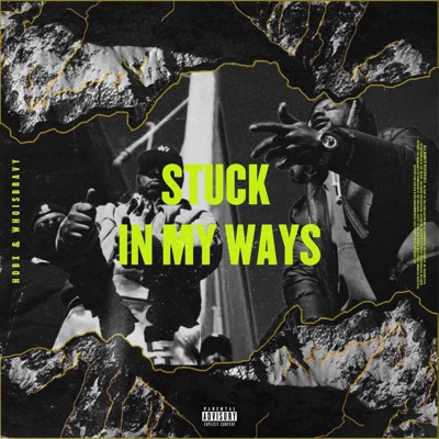 Stuck In My Ways (feat. Whoisbravy) - Single