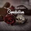 Cendrillon (feat. Pheno Ambro) - Single