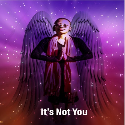 It's Not You (feat. Pearlyhooks) - Single