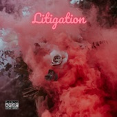 Chris King - Litigation