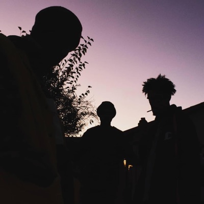 ph0phate! (feat. The.view.1900) - Single