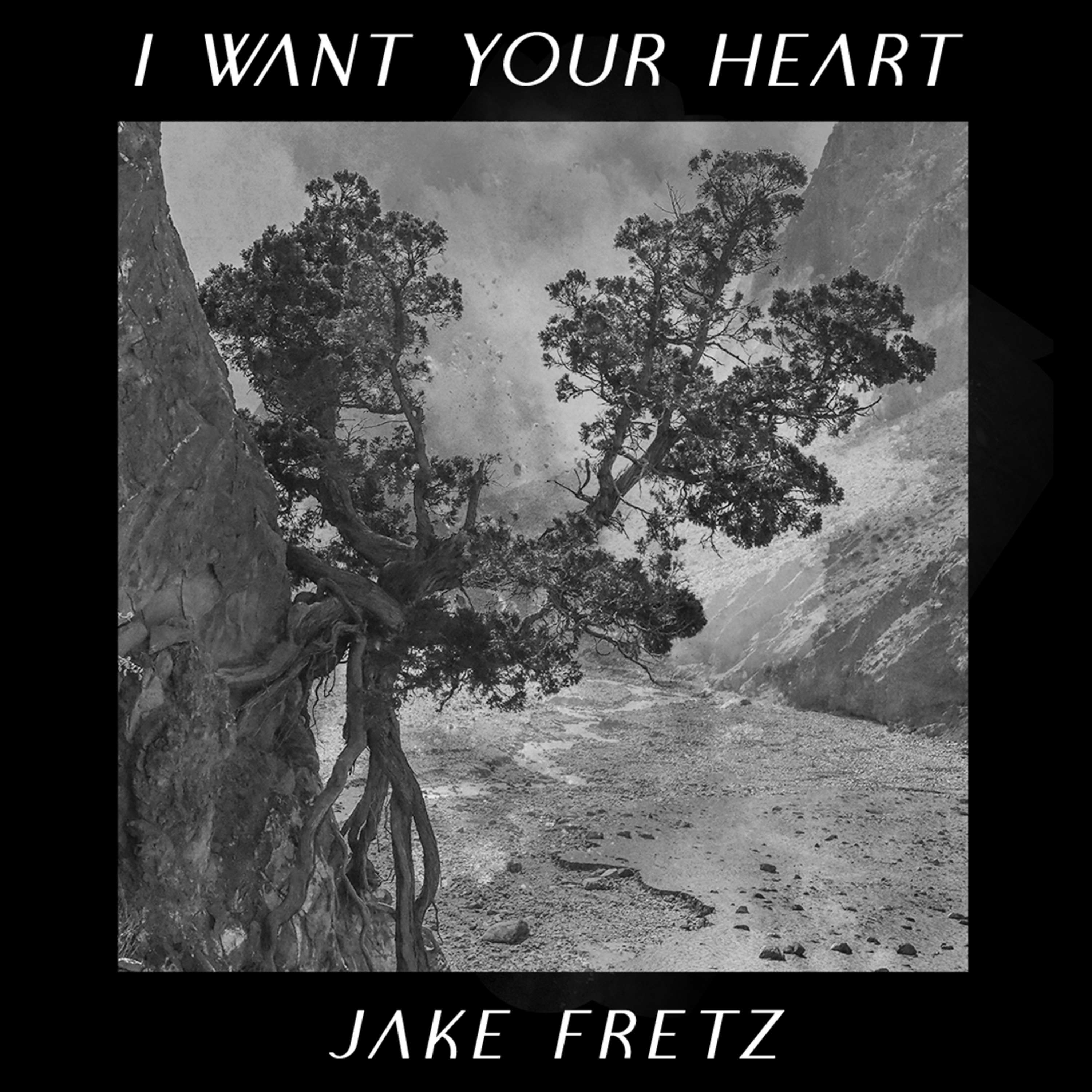 I Want Your Heart (Acoustic) [Acoustic] - Single