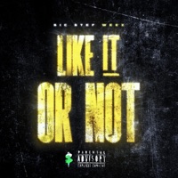 Like it or Not (feat. Weez) - Single - SIC Stef