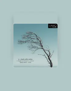 Écoutez Bjørg Lewis, regardez des vidéoclips, lisez la biographie, consultez les dates de tournée et plus encore !