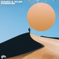 Evermore (feat. WLZN) - Single - Dizaro