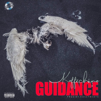 Guidance - Single