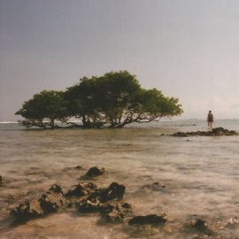 Nostalgic Waves Aarigod