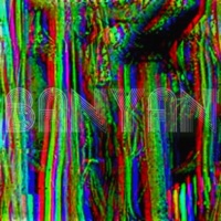 Banyan (feat. Floco Torres & El Igor) - Single - Chris Suarez