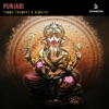 Punjabi cover art