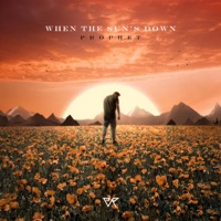 When The Sun's Down - Single - Prophet