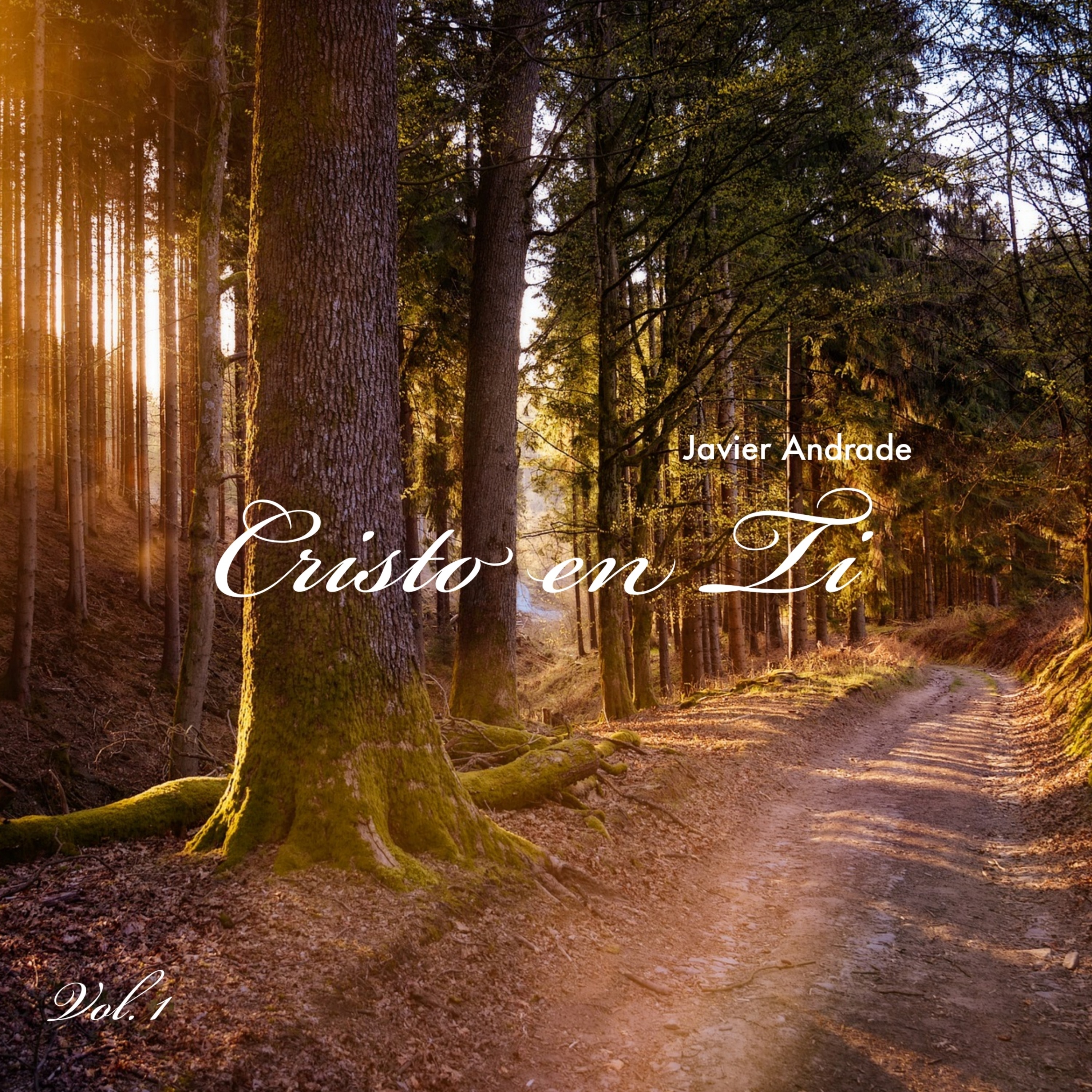Cristo en Ti, Vol. 1