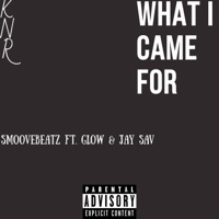 What I Came for (feat. Glo & Jay Sav) - Single - SmooVeBeatz