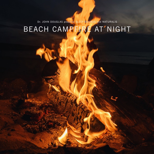 Beach Campfire at Night (Campfire Sounds)