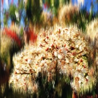 Nervous (feat. Torr) - Single - Jedwill