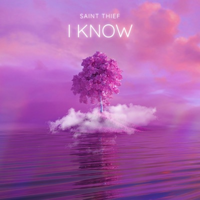 I Know (feat. Saint Thief) - Single
