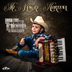 Edwin Luna y La Trakalosa de Monterrey - Que Será
