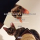That Cat Single