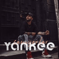 Sanıyorlar - Single - Yankee