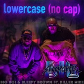 Lower Case (no cap) [feat. Killer Mike] artwork