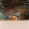 A Dream of You - Far Caspian lyrics