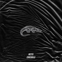 Crocodilo - Single - Nestu