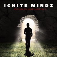 Beat Pack Del Solar Flares, Vol. 1 (Instrumental) - Single - Ignite Mindz