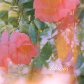 Bloom artwork